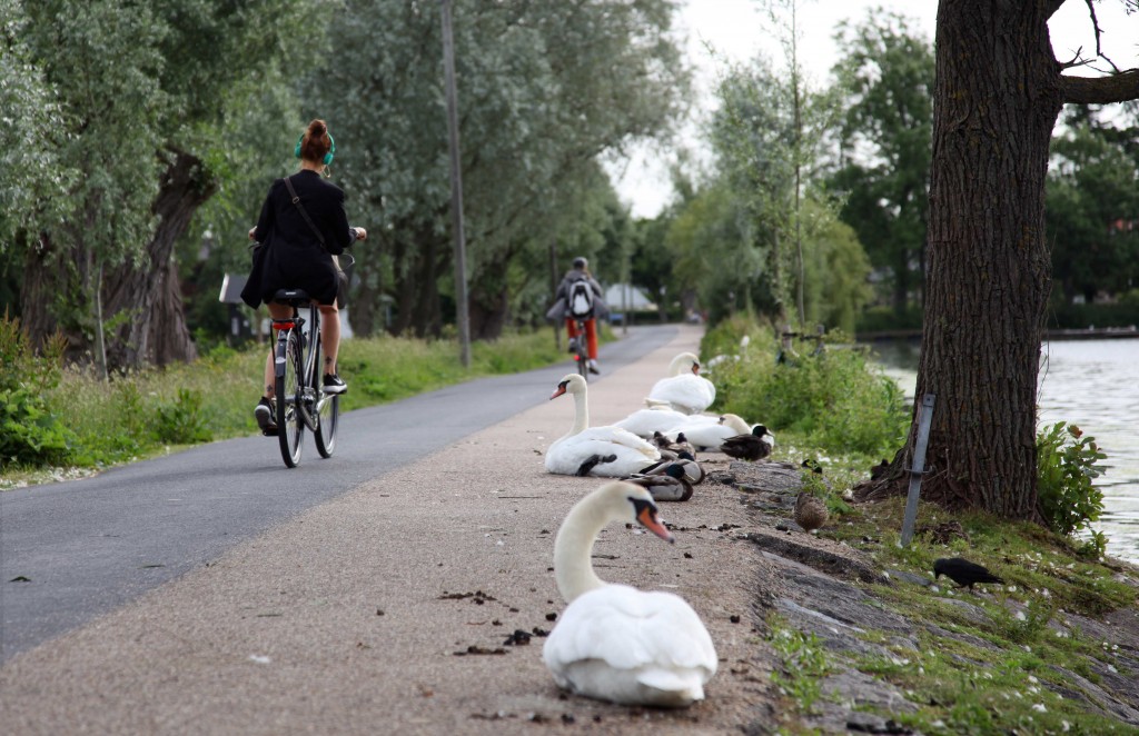 Albertslund Bikeway